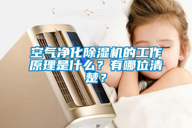 空氣凈化除濕機的工作原理是什么？有哪位清楚？