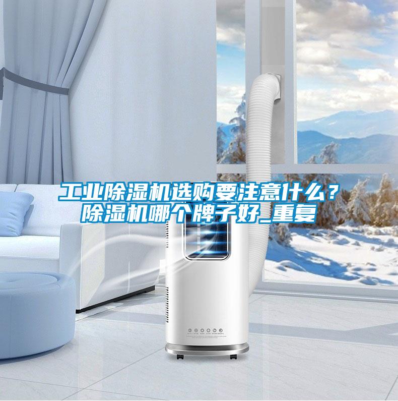 工業(yè)除濕機選購要注意什么？除濕機哪個牌子好_重復