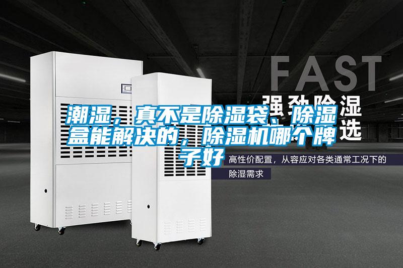 潮濕，真不是除濕袋、除濕盒能解決的，除濕機哪個牌子好