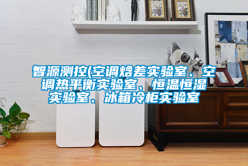 智源測(cè)控(空調(diào)焓差實(shí)驗(yàn)室、空調(diào)熱平衡實(shí)驗(yàn)室、恒溫恒濕實(shí)驗(yàn)室、冰箱冷柜實(shí)驗(yàn)室