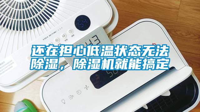 還在擔(dān)心低溫狀態(tài)無(wú)法除濕，除濕機(jī)就能搞定