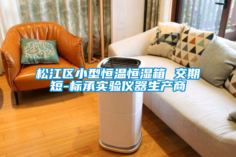 松江區(qū)小型恒溫恒濕箱 交期短-標承實驗儀器生產(chǎn)商