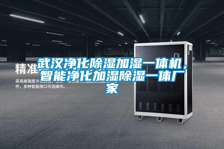 武漢凈化除濕加濕一體機(jī)，智能凈化加濕除濕一體廠家