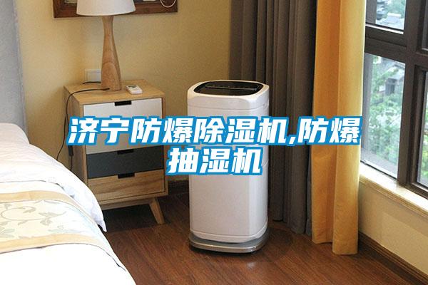 濟(jì)寧防爆除濕機,防爆抽濕機