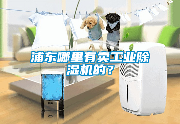 浦東哪里有賣(mài)工業(yè)除濕機(jī)的？