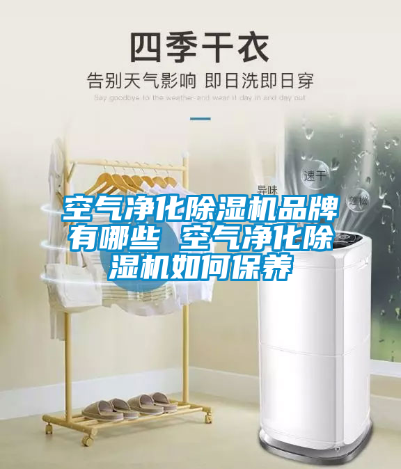 空氣凈化除濕機品牌有哪些 空氣凈化除濕機如何保養(yǎng)