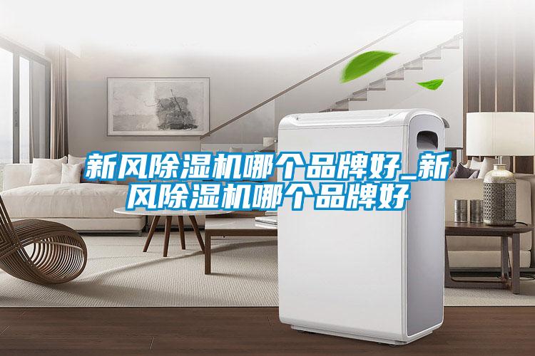 新風(fēng)除濕機(jī)哪個品牌好_新風(fēng)除濕機(jī)哪個品牌好