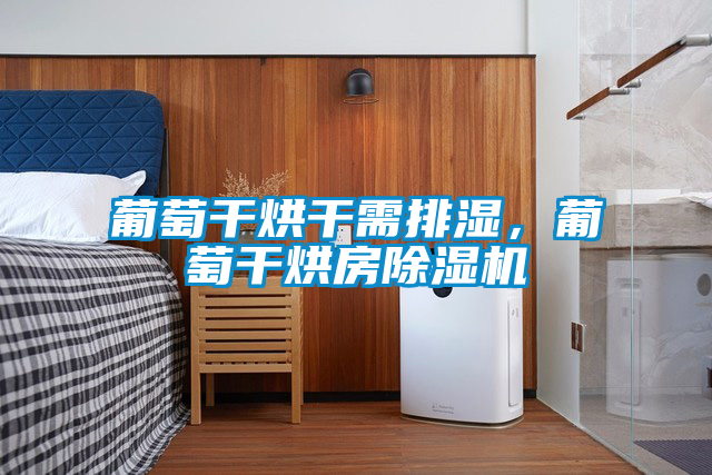 葡萄干烘干需排濕，葡萄干烘房除濕機
