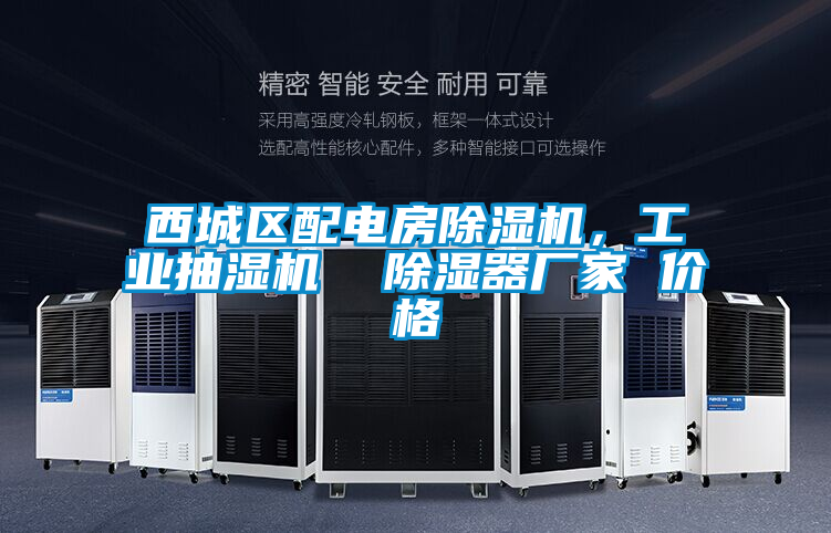 西城區(qū)配電房除濕機(jī)，工業(yè)抽濕機(jī)  除濕器廠家 價(jià)格