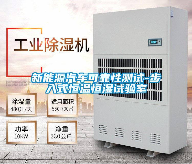新能源汽車(chē)可靠性測(cè)試-步入式恒溫恒濕試驗(yàn)室