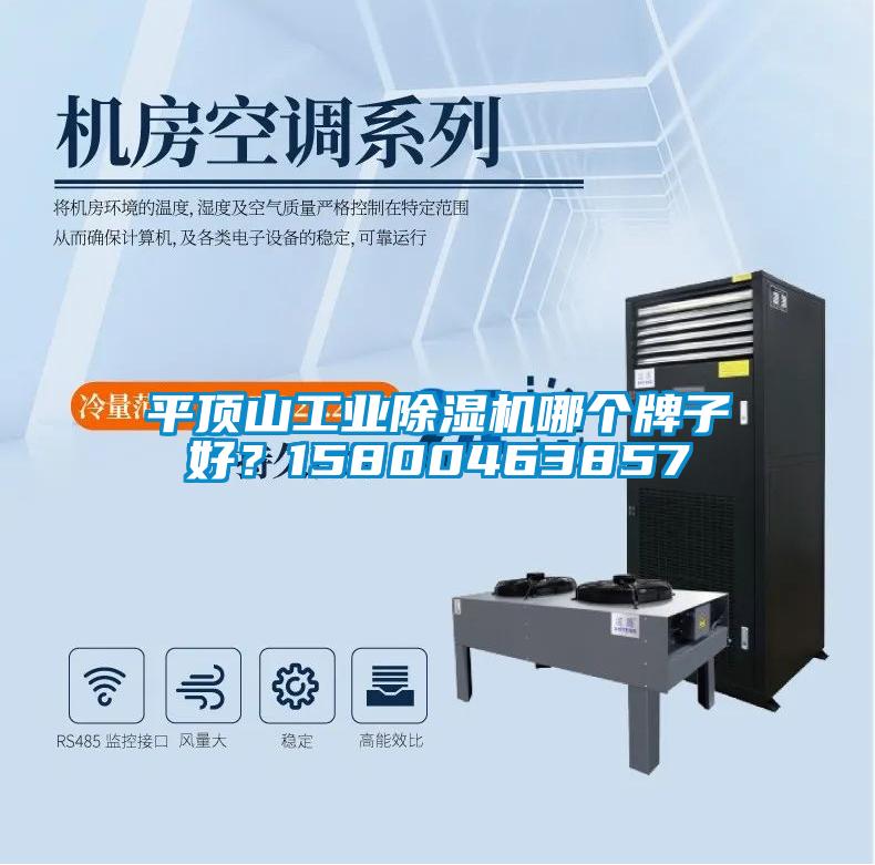 平頂山工業(yè)除濕機(jī)哪個(gè)牌子好？15800463857