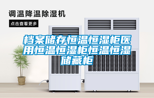 檔案儲(chǔ)存恒溫恒濕柜醫(yī)用恒溫恒濕柜恒溫恒濕儲(chǔ)藏柜
