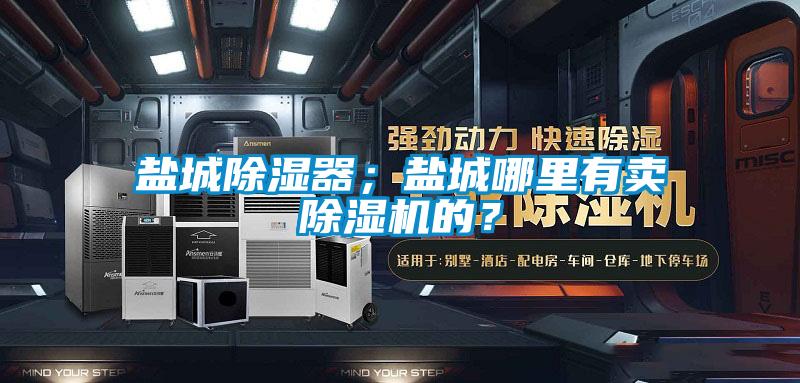 鹽城除濕器；鹽城哪里有賣除濕機的？