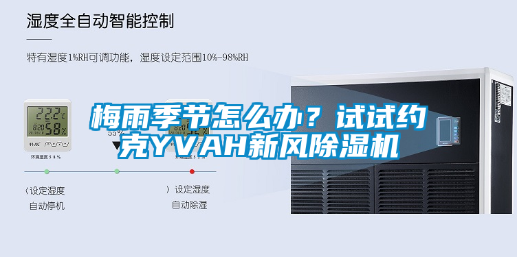 梅雨季節(jié)怎么辦？試試約克YVAH新風(fēng)除濕機(jī)