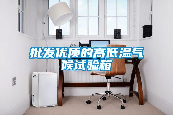 批發(fā)優(yōu)質(zhì)的高低溫氣候試驗(yàn)箱