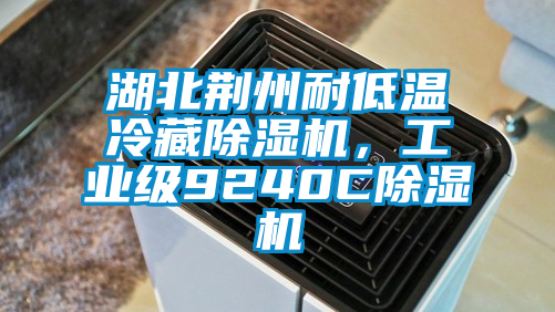 湖北荊州耐低溫冷藏除濕機(jī)，工業(yè)級(jí)9240C除濕機(jī)