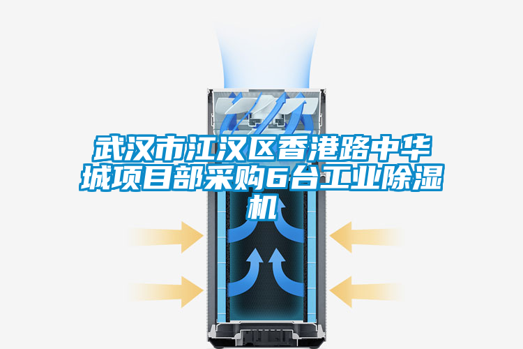 武漢市江漢區(qū)香港路中華城項(xiàng)目部采購(gòu)6臺(tái)工業(yè)除濕機(jī)