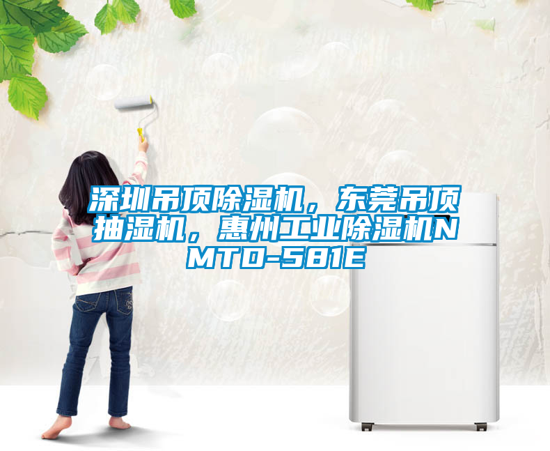 深圳吊頂除濕機(jī)，東莞吊頂抽濕機(jī)，惠州工業(yè)除濕機(jī)NMTD-581E