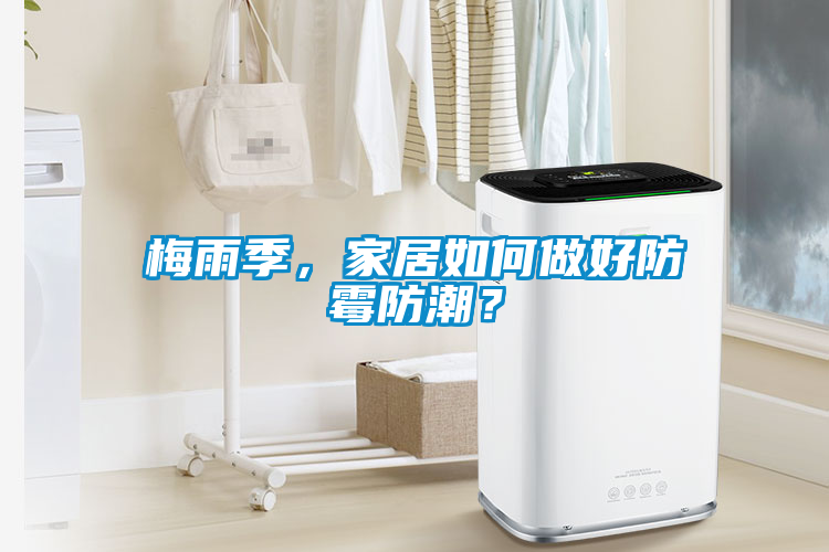 梅雨季，家居如何做好防霉防潮？