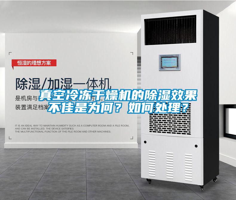 真空冷凍干燥機的除濕效果不佳是為何？如何處理？
