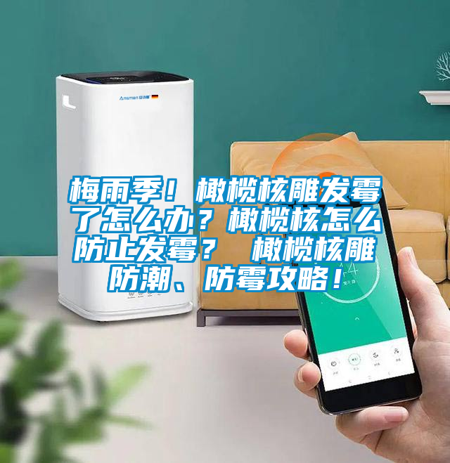 梅雨季！橄欖核雕發(fā)霉了怎么辦？橄欖核怎么防止發(fā)霉？ 橄欖核雕防潮、防霉攻略！