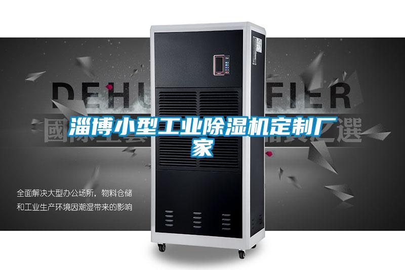 淄博小型工業(yè)除濕機定制廠家