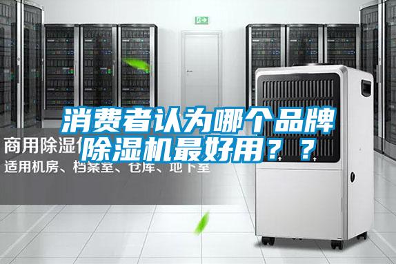 消費者認(rèn)為哪個品牌除濕機最好用？？
