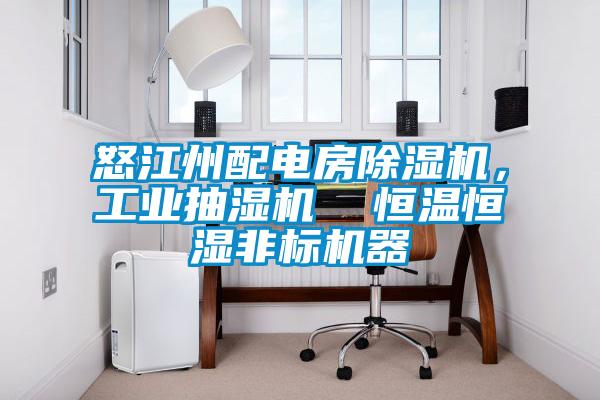怒江州配電房除濕機(jī)，工業(yè)抽濕機(jī)  恒溫恒濕非標(biāo)機(jī)器