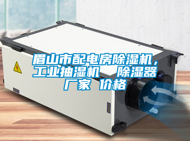 眉山市配電房除濕機(jī)，工業(yè)抽濕機(jī)  除濕器廠家 價格