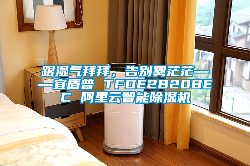 跟濕氣拜拜，告別霧茫?！硕芷?TFDE2B20BEC 阿里云智能除濕機
