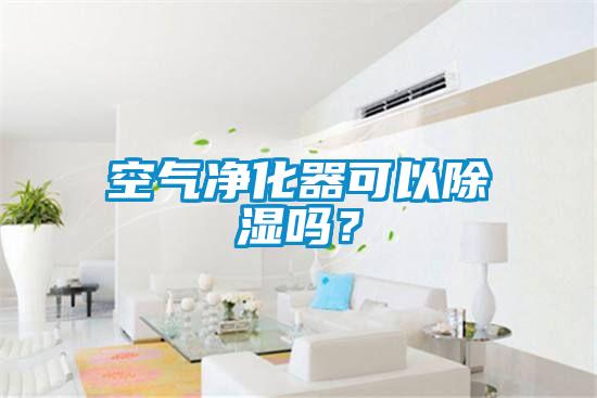 空氣凈化器可以除濕嗎？