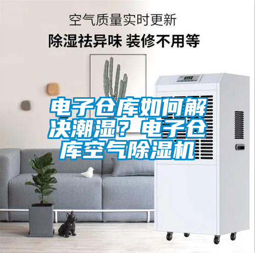 電子倉(cāng)庫(kù)如何解決潮濕？電子倉(cāng)庫(kù)空氣除濕機(jī)