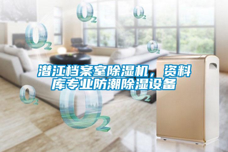 潛江檔案室除濕機(jī)，資料庫(kù)專(zhuān)業(yè)防潮除濕設(shè)備