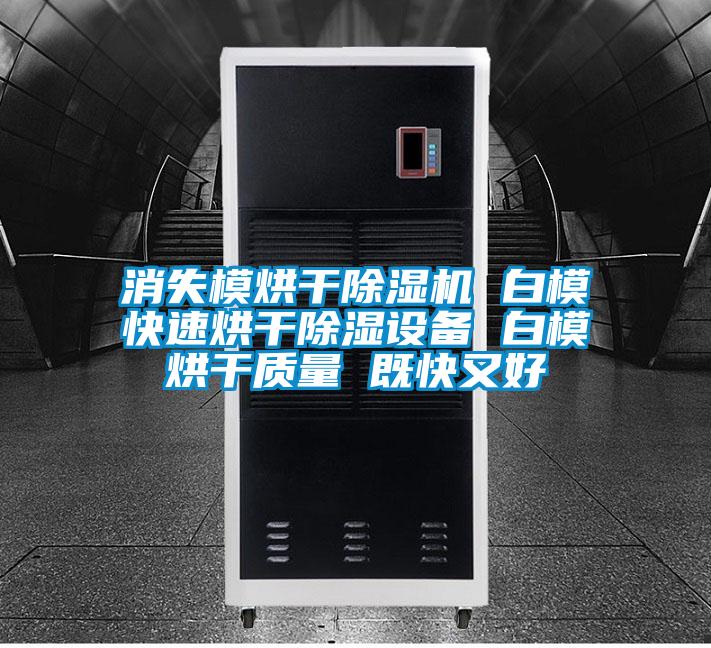 消失模烘干除濕機(jī) 白?？焖俸娓沙凉裨O(shè)備 白模烘干質(zhì)量 既快又好