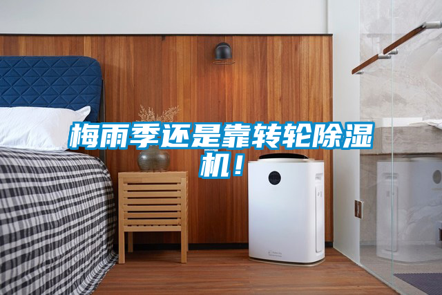 梅雨季還是靠轉(zhuǎn)輪除濕機(jī)！