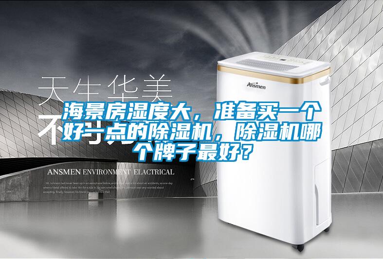 海景房濕度大，準備買一個好一點的除濕機，除濕機哪個牌子最好？