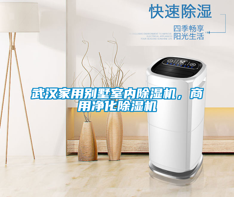 武漢家用別墅室內(nèi)除濕機，商用凈化除濕機