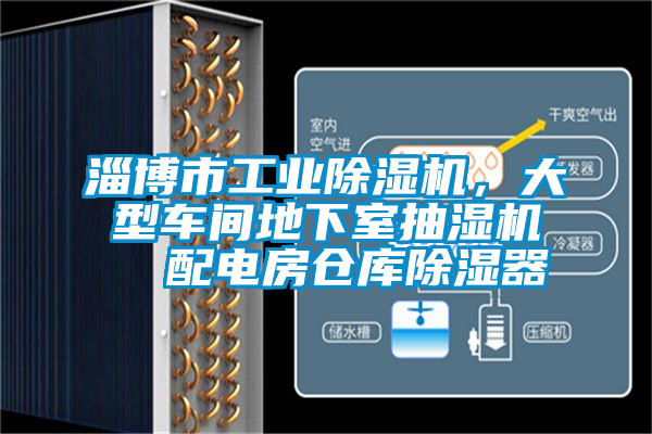 淄博市工業(yè)除濕機(jī)，大型車間地下室抽濕機(jī)  配電房倉(cāng)庫(kù)除濕器