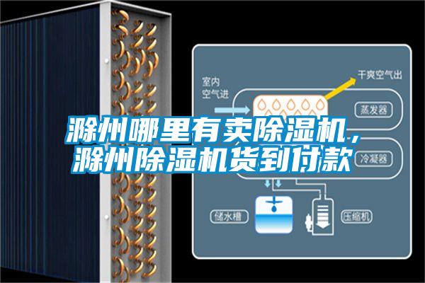 滁州哪里有賣除濕機(jī)，滁州除濕機(jī)貨到付款