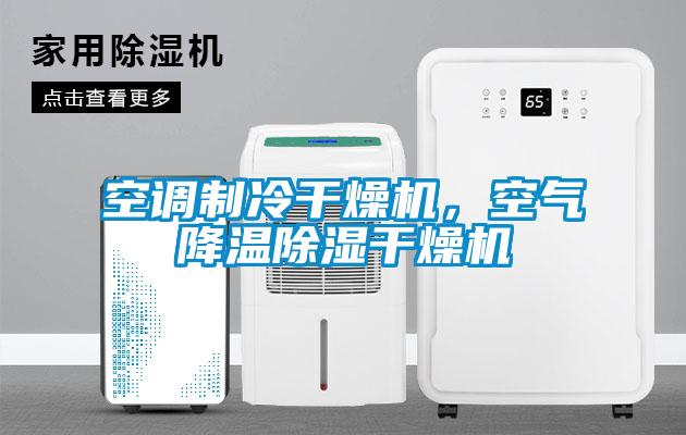 空調(diào)制冷干燥機，空氣降溫除濕干燥機