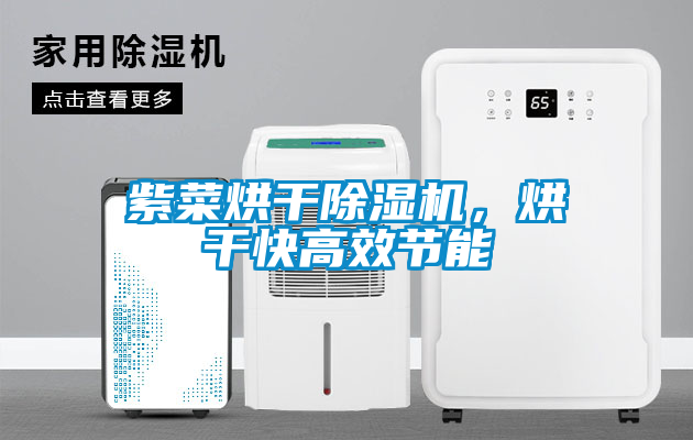 紫菜烘干除濕機，烘干快高效節(jié)能