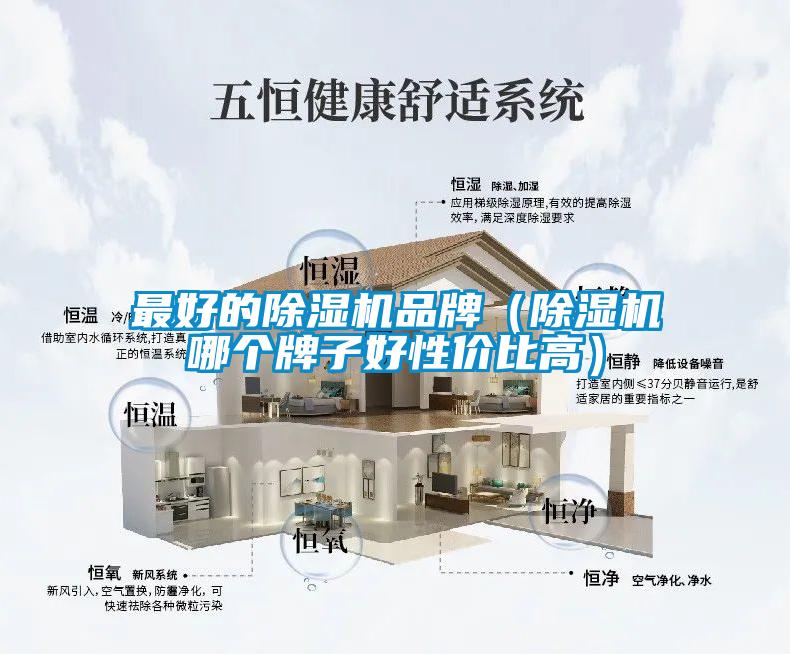 最好的除濕機(jī)品牌（除濕機(jī)哪個(gè)牌子好性?xún)r(jià)比高）