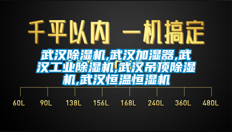 武漢除濕機,武漢加濕器,武漢工業(yè)除濕機,武漢吊頂除濕機,武漢恒溫恒濕機