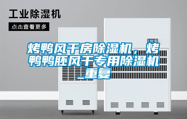 烤鴨風(fēng)干房除濕機(jī)，烤鴨鴨胚風(fēng)干專用除濕機(jī)_重復(fù)
