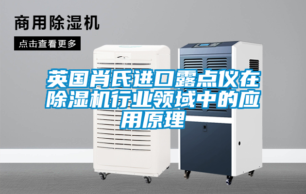 英國肖氏進口露點儀在除濕機行業(yè)領(lǐng)域中的應(yīng)用原理