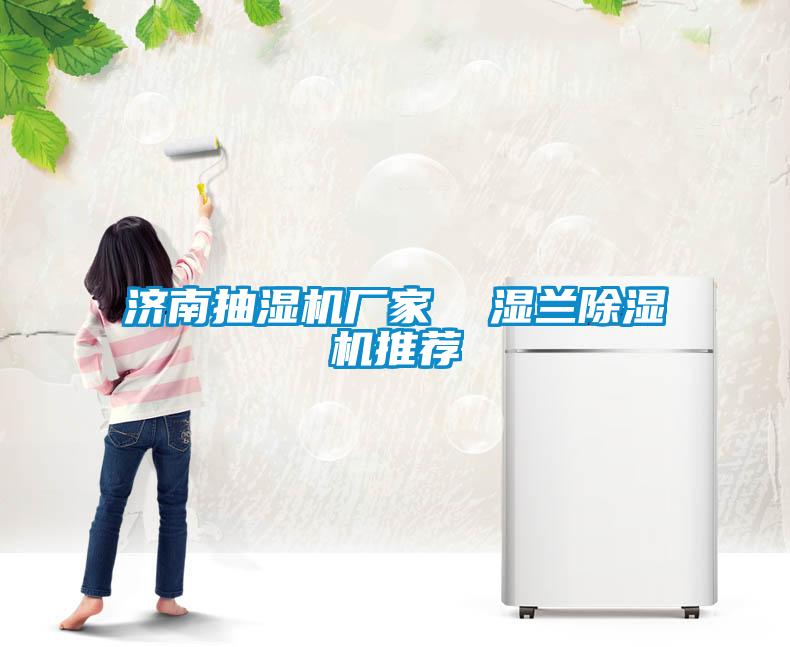 濟(jì)南抽濕機廠家  濕蘭除濕機推薦