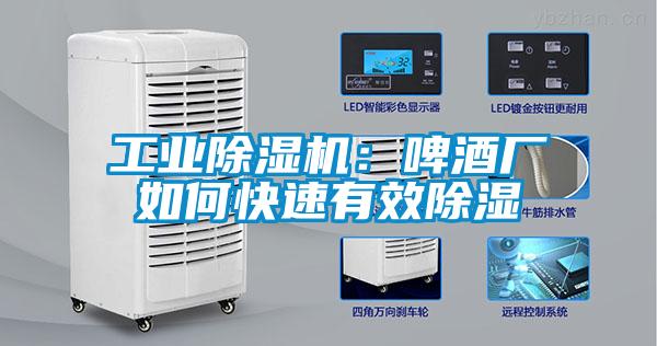 工業(yè)除濕機：啤酒廠如何快速有效除濕