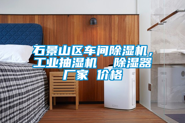 石景山區(qū)車間除濕機(jī)，工業(yè)抽濕機(jī)  除濕器廠家 價(jià)格