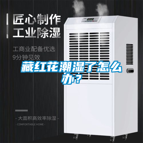 藏紅花潮濕了怎么辦？