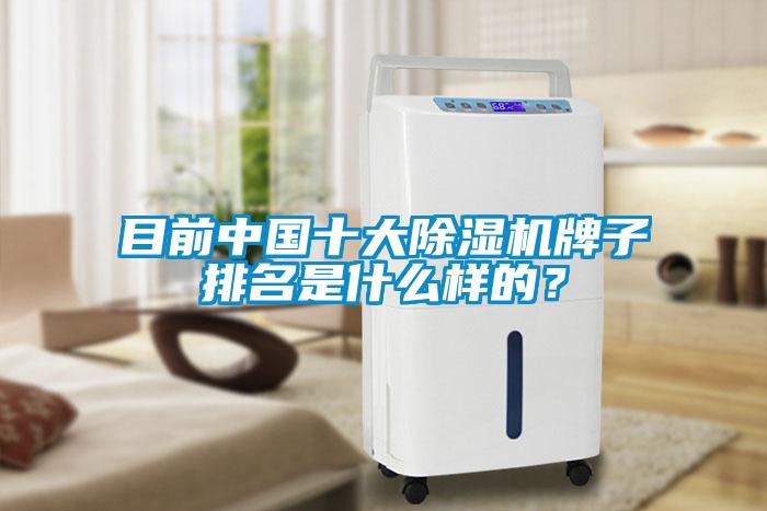 目前中國十大除濕機牌子排名是什么樣的？